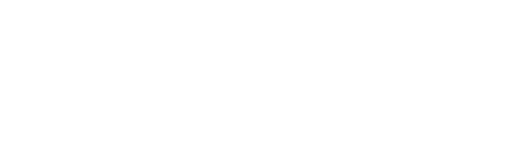 Salzgitter AG